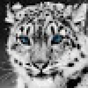 snowleopard311's avatar